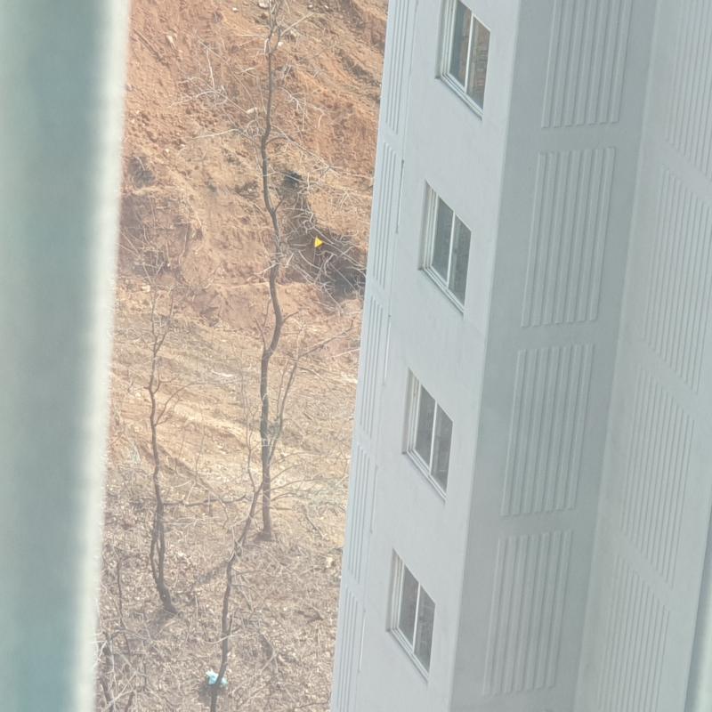 떠났어ㅠㅜㅜㅜㅜ시야에서 벗어났다구ㅠㅜㅜㅠ