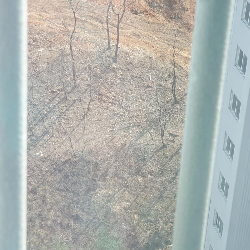 1번 형님 어디가..