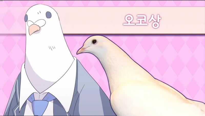 왜 얘는 ㅋㅋㅋㅋㅋ 일러도 비둘기잊뎈ㅋㅋㅋㅋㅋㅋㅋㅋㅋㅋㅋㅋㅋㄴㅋ???ㅋㅋㅋㅋㅋㅋㅋㅋㅋㅋㅋㅋㅋㅋㅋㅋㅋㅋㅋㅋㅋㅋㅋㅋㅋㅋㅋㅋㅋㅋㅋㅋ 오코상,,, 너무