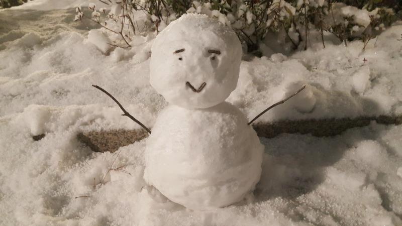 Q. 레주야 나 요즘 학업문제로 스트레스를 많이 받는데 진로도 정해진게 없어서 우울하고 막막하기만해ㅠㅠㅜ언니는 좋은대학을 가지못했고 지금 약간