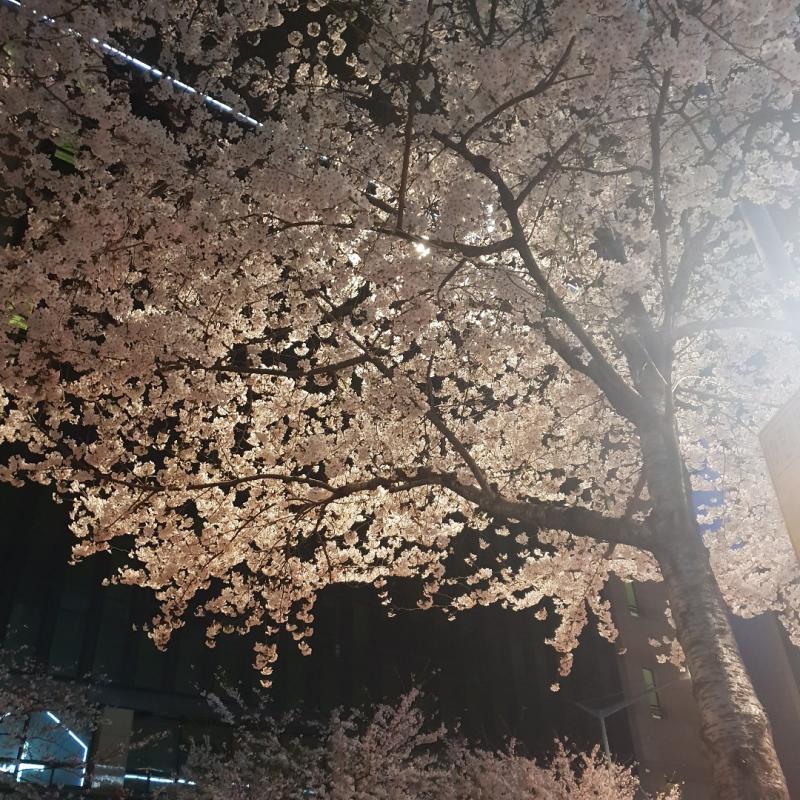 >>811 (2차 질문과 피드백) >>809 >>799 레스주야. 2차질문.. 그럼 이후의 친구와의 인간관계에 대해서는? 이야. 내가 어떻게 해