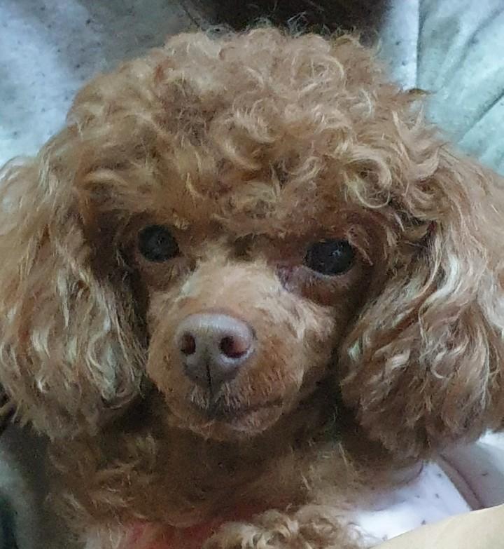 안녕! 내가 지금 좋아하는 1살 연상 언니가 있는데 이 언니가 날 어떻게 생각 하구 있는지,이어질 가능성이 조금이라두 있는지랑 올해 연애운이 궁