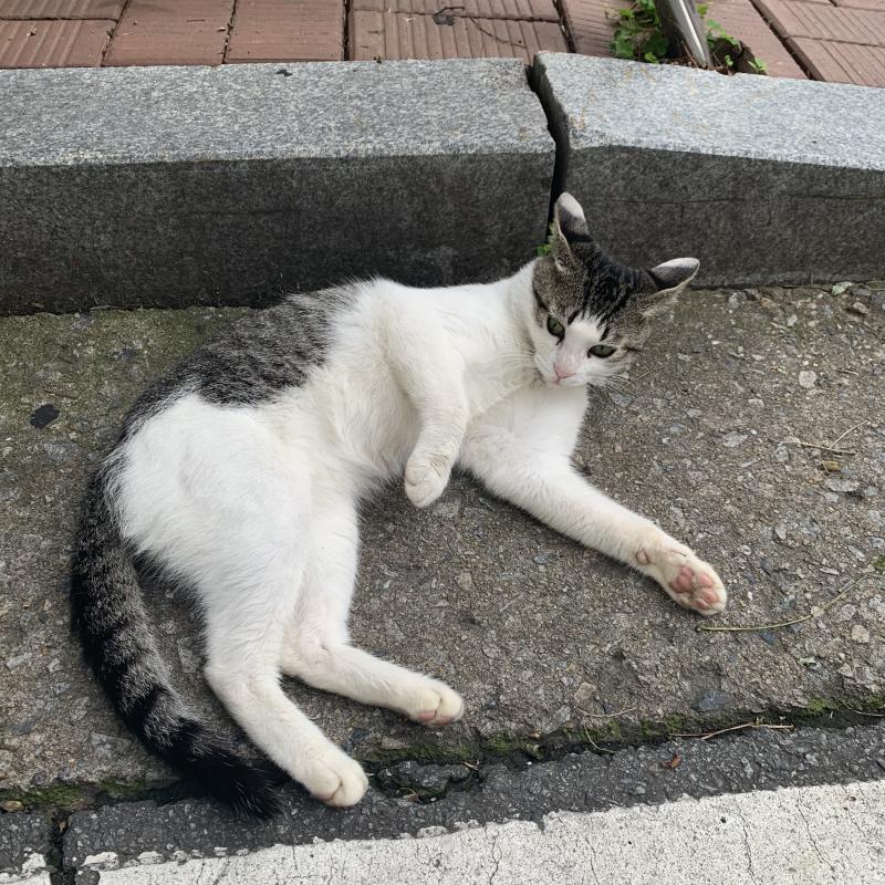 반년 넘게 좋아하는 사람이 있어요. 금사빠로 빠진 사람이라 금발진으로 고백을 했었는데 지금은 찐친으로 지내고 있어요. 제가 어색해지기 싫다, 친