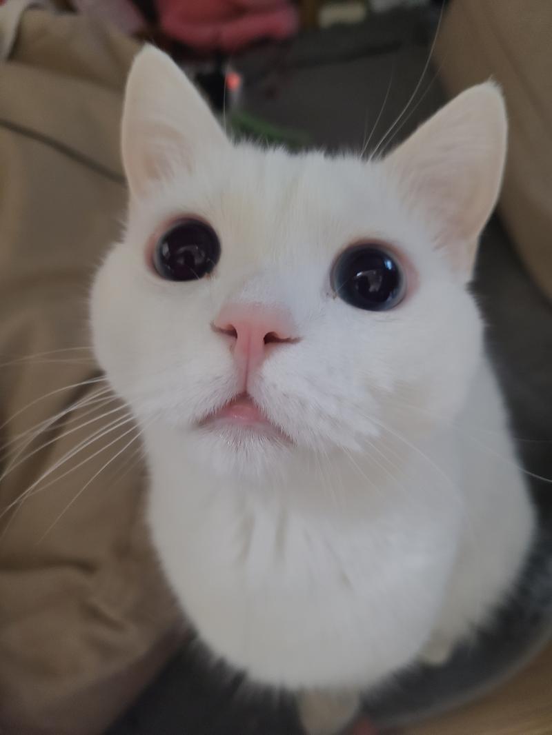 먐