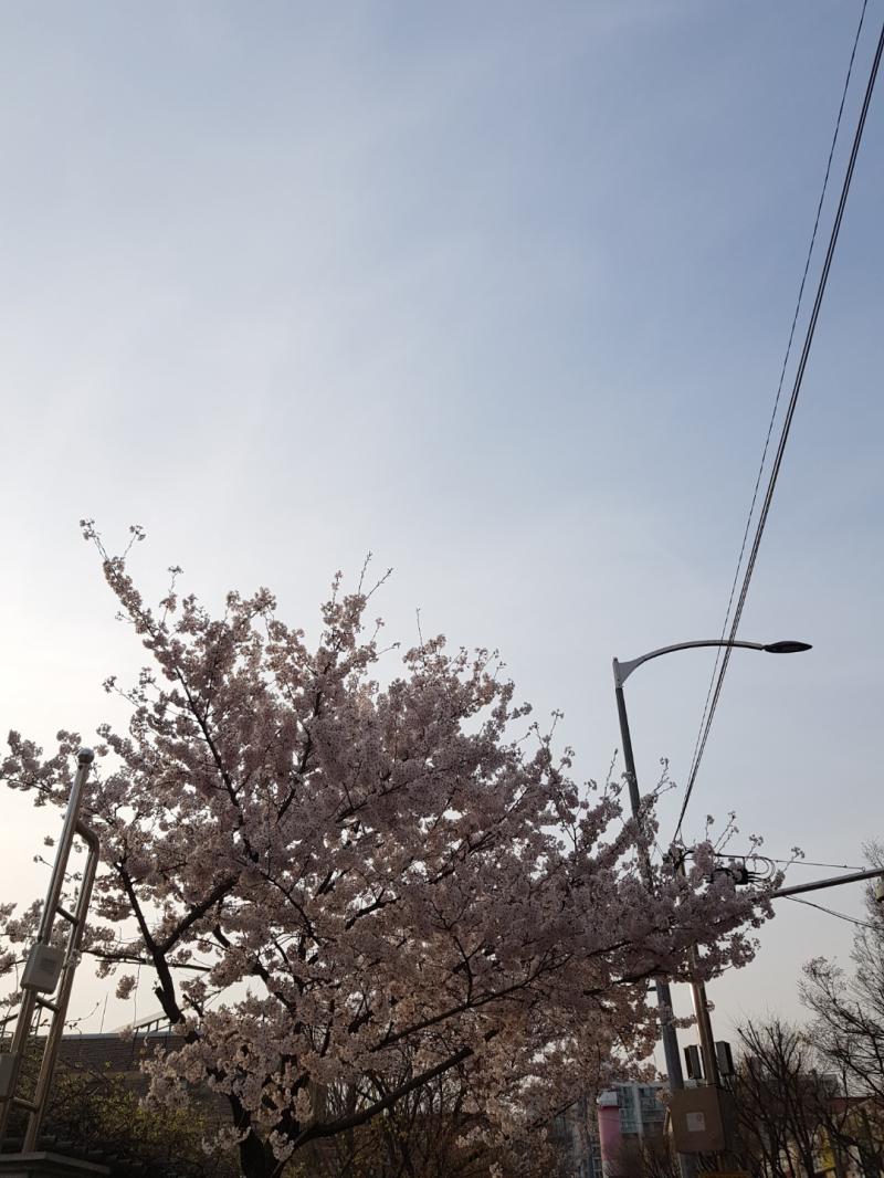 오 안녕 이제 인원 제한 사라졌구나. 나 >>800 이 사람이야. 잊기로 해놓고 왜 또 왔냐면 그냥 스레주의 타로가 맛집이라 못잊고 다시 왔다고