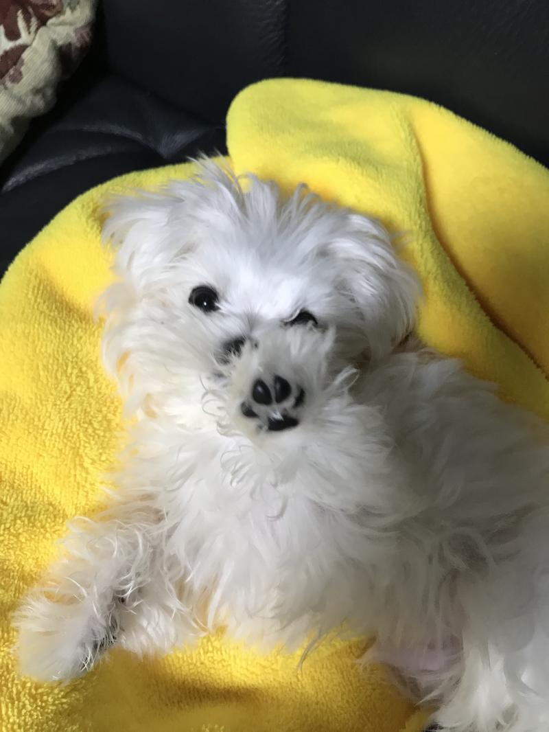 우리 애기도 봐줘! 지금 4개월 애긴뎅 너무너무 기여워ㅜㅜ