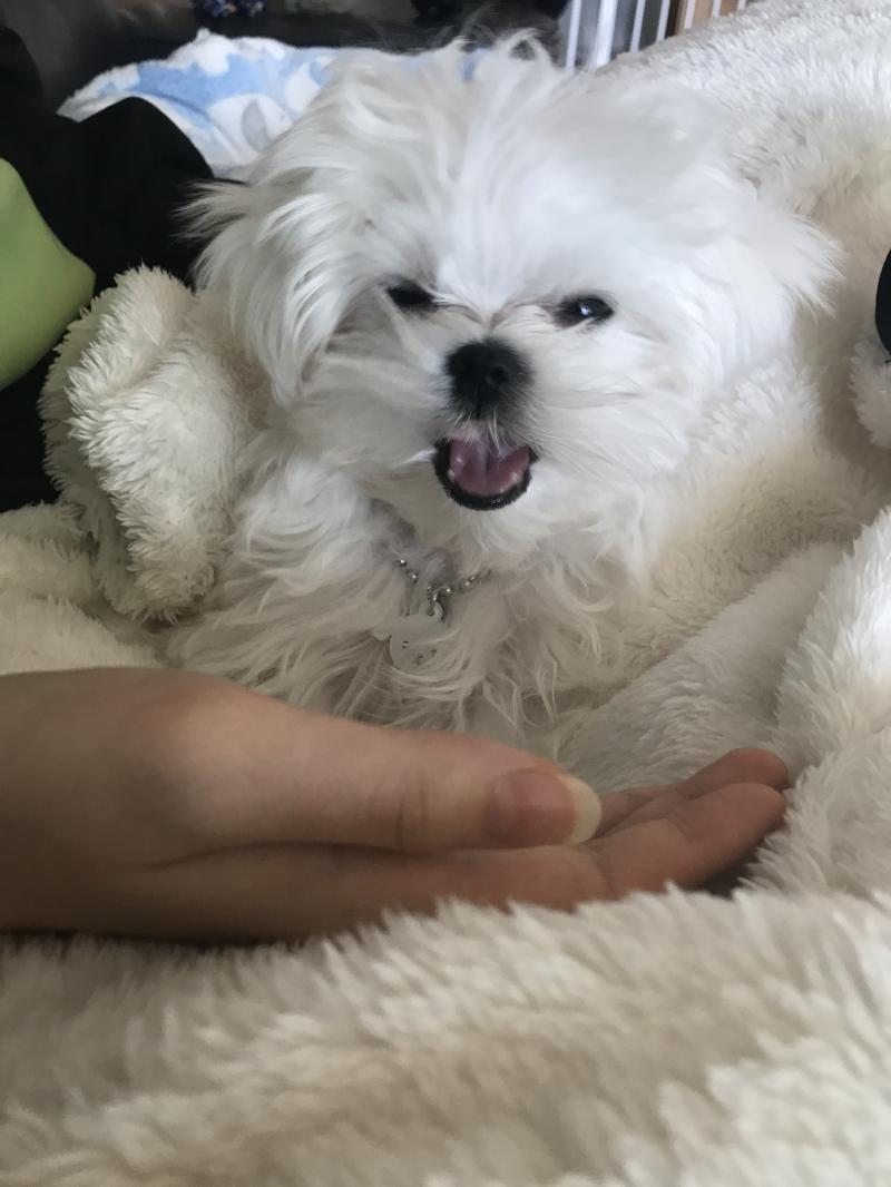 우리 애기도 봐줘! 지금 4개월 애긴뎅 너무너무 기여워ㅜㅜ