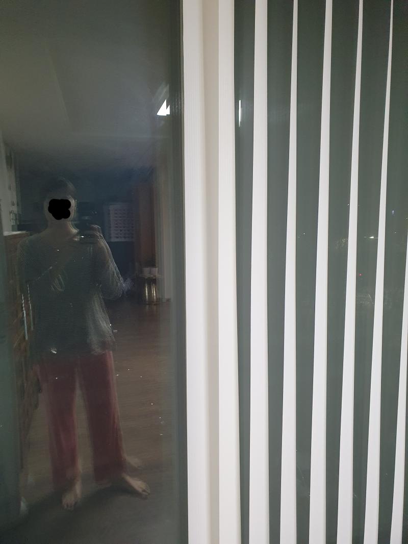 사진임