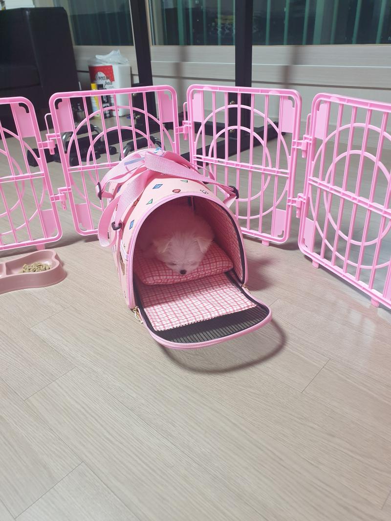 자는 모습