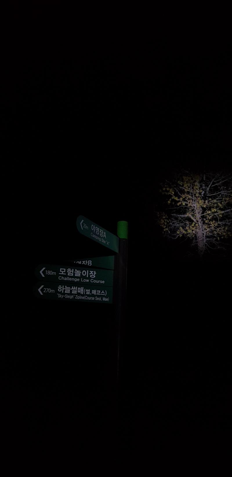수련회 갔을때 밤에 몰래 나와서 숲길에 별보러 갔을때 찍은건데 이런건 범주가 벗어날라나 궁금하네