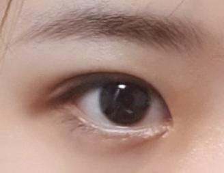 아라 그리면 개답답하고 작아보임 내가똥손이라 그런거일수도 잇긴해