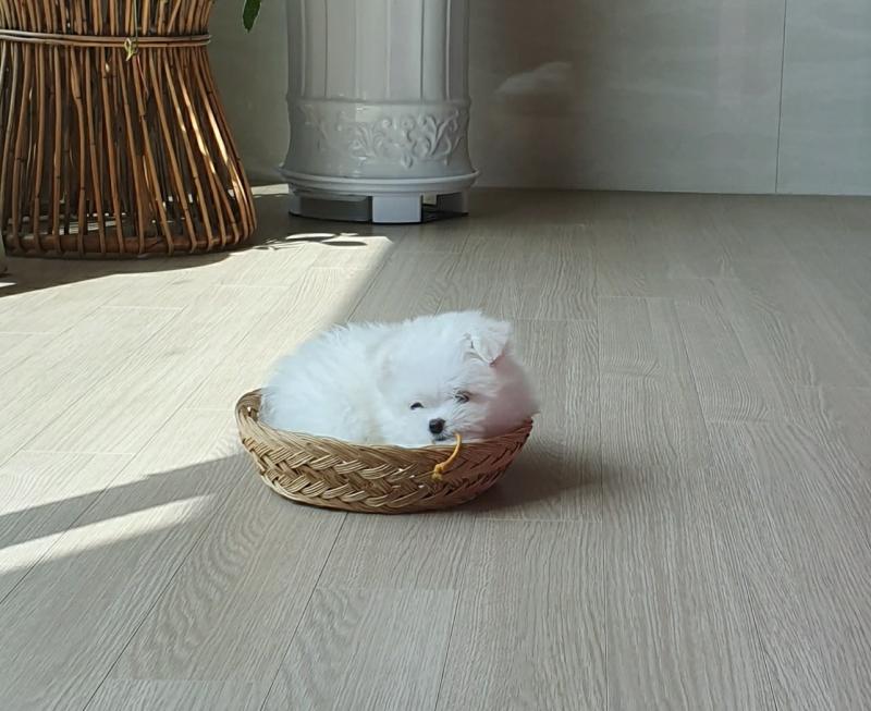 짠