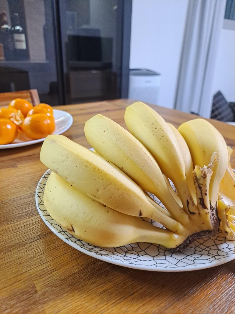 안녕 레주 바나나도 식물이래.. 괜찮으려나..?ㅎㅎ 학원에 내가 중학교 때부터 좋아한 남자애가 있어 호감표시는 꾸준히 소심하게 하긴 한거같은데 
