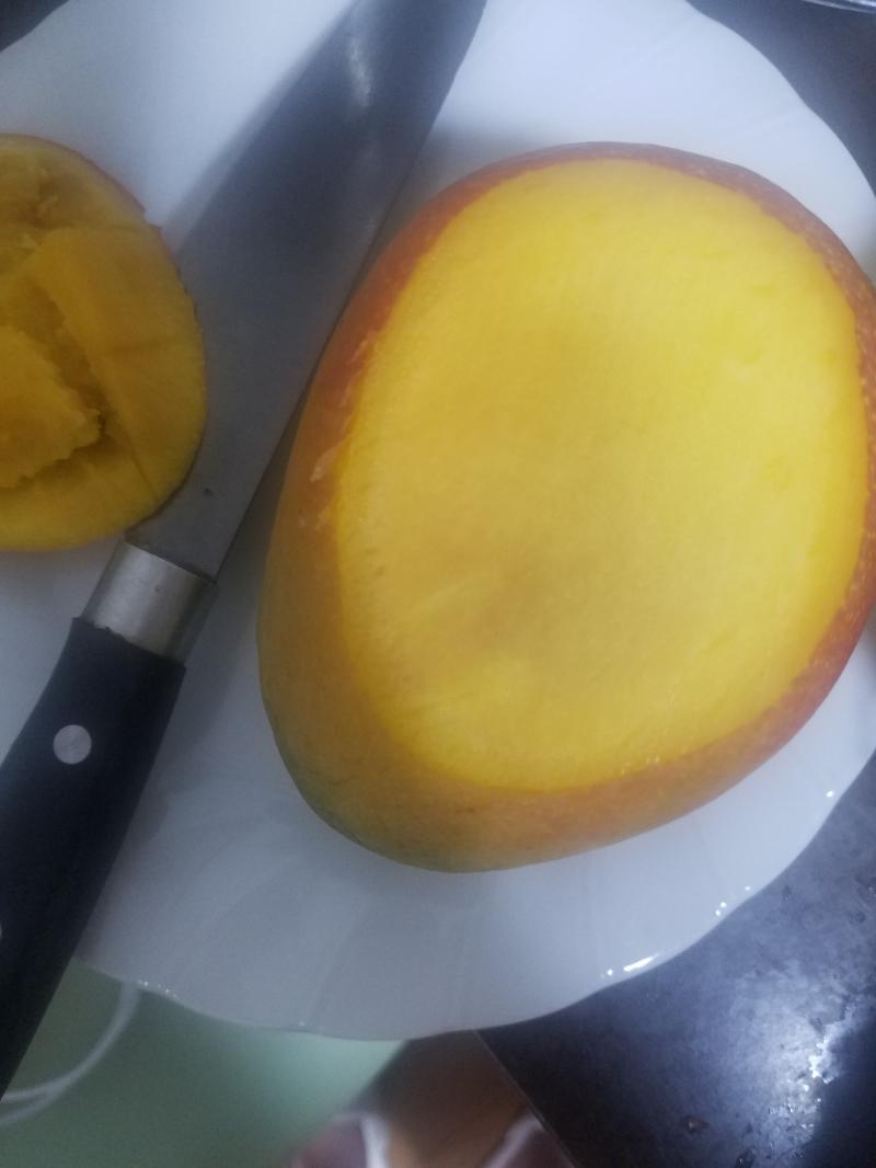 진따 ㅈㄴ 맛ㅇㅂㅅ어 씨바