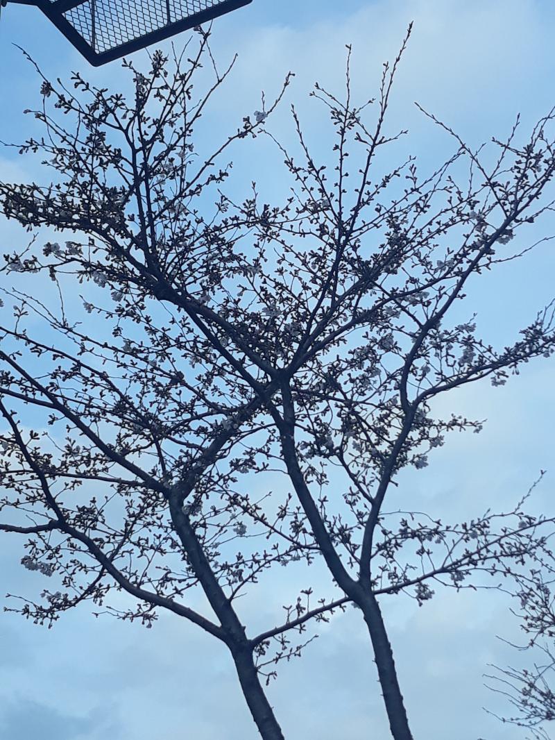 안녕! 늦은 밤에 미안해 스주, 난 지금 고등학생인데, 연애관련 고민이 있어. 내가 금사빠이긴해도 진짜 좋아하는 사람이 생기면 거의 그 사람만 