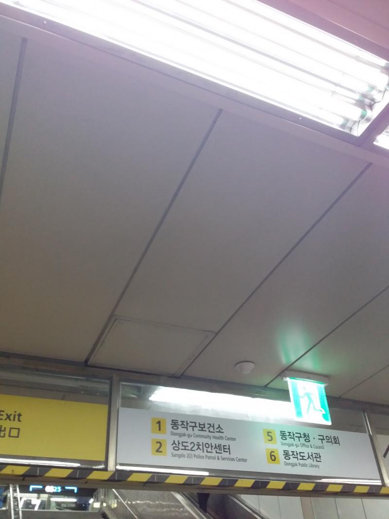 원래 그 옆에 있는 의자에 앉아서 쓰려고 했는데 지나다니는 분들이 쟤 뭐하는 거지 하는 표정으로 쳐다보시는것같아서 근처 아파트 단지에 있는 나무