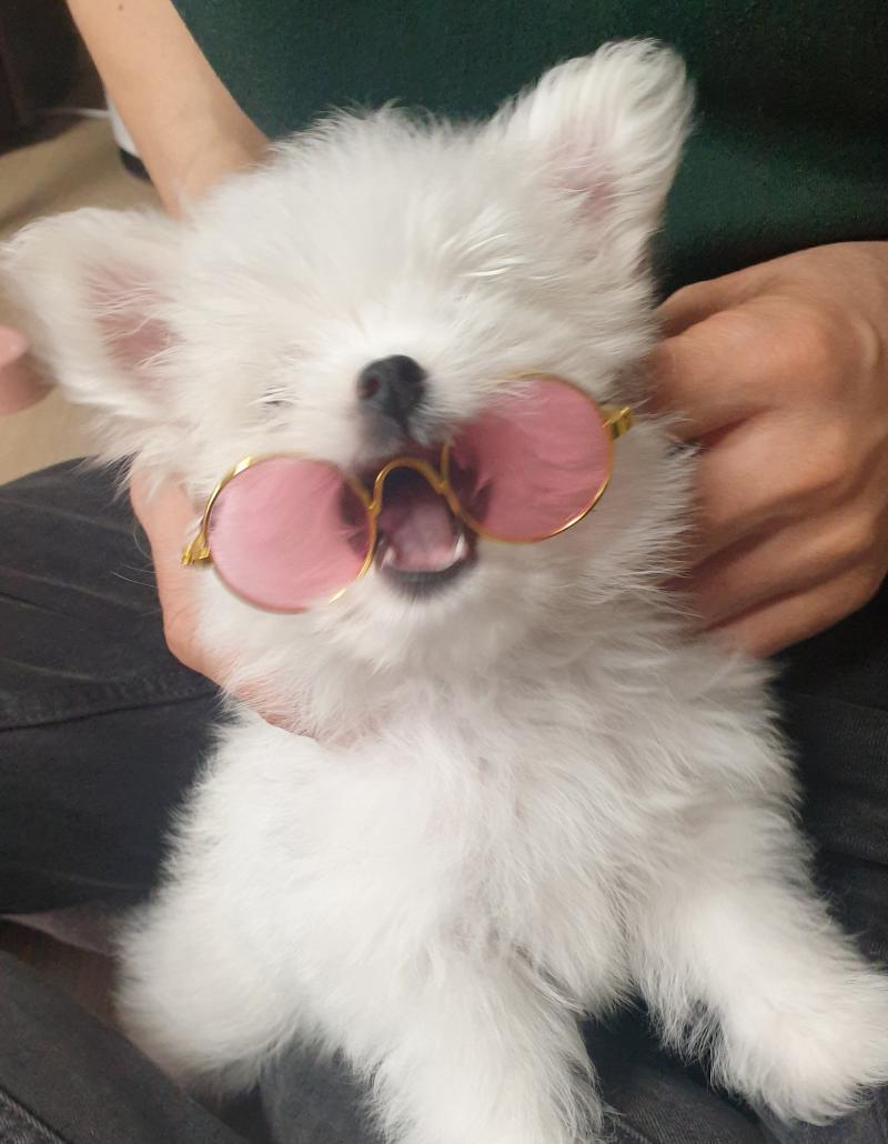 쑥쑥 크는 중!! 엄청까진 아닌데 조금 커졌어