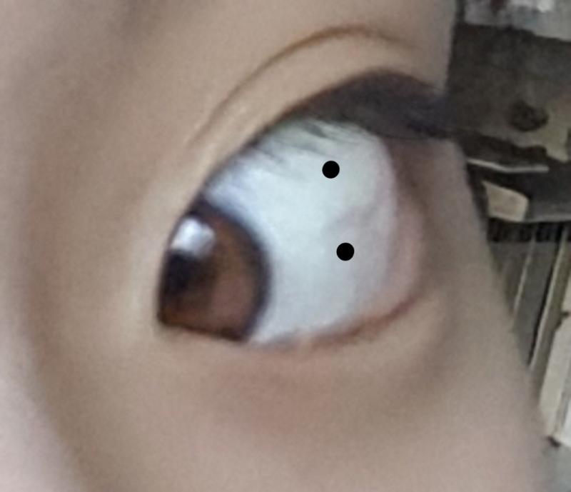 >>3 가로 버전도 있어요