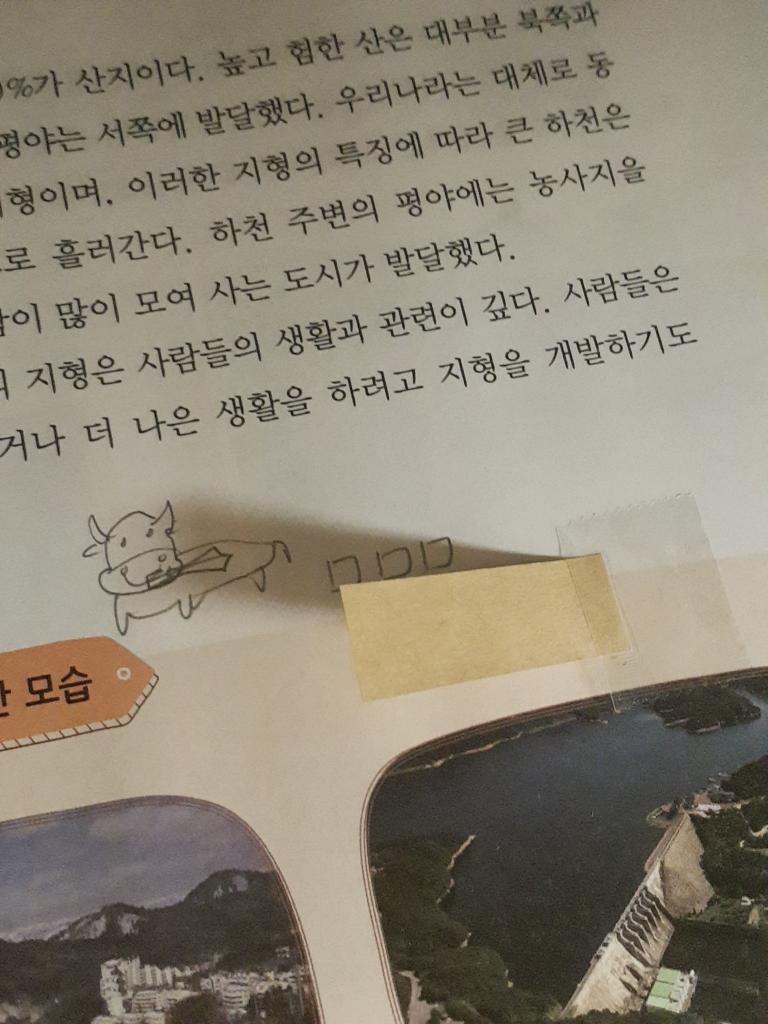 퀴즈도 넣음