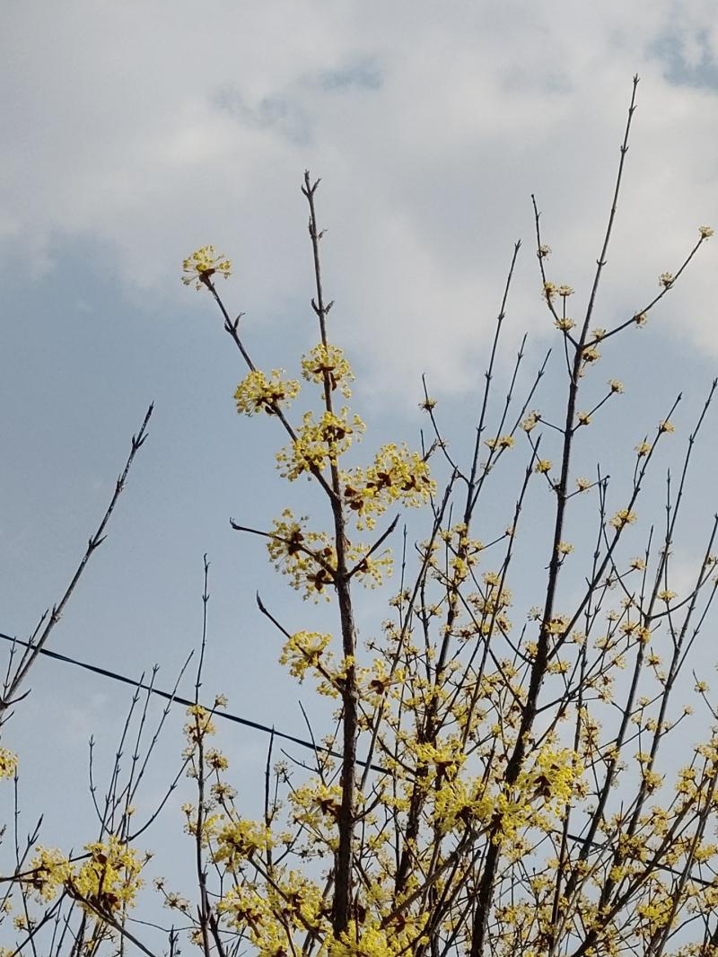 여기