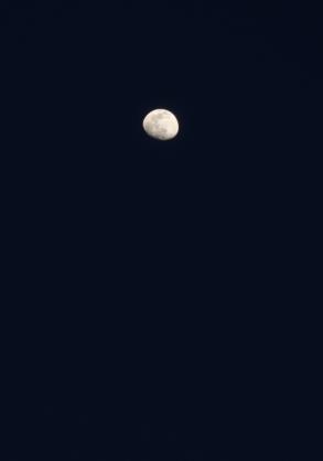 와우