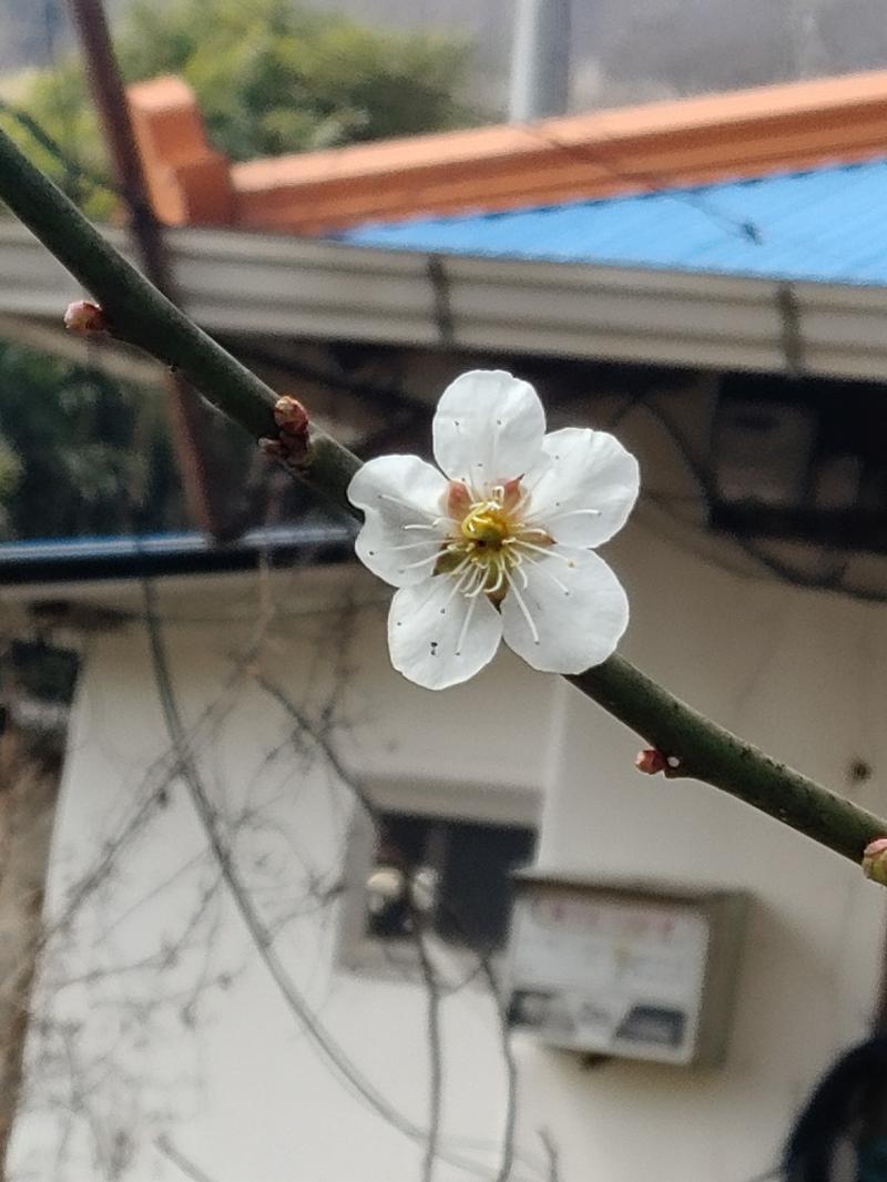 여기