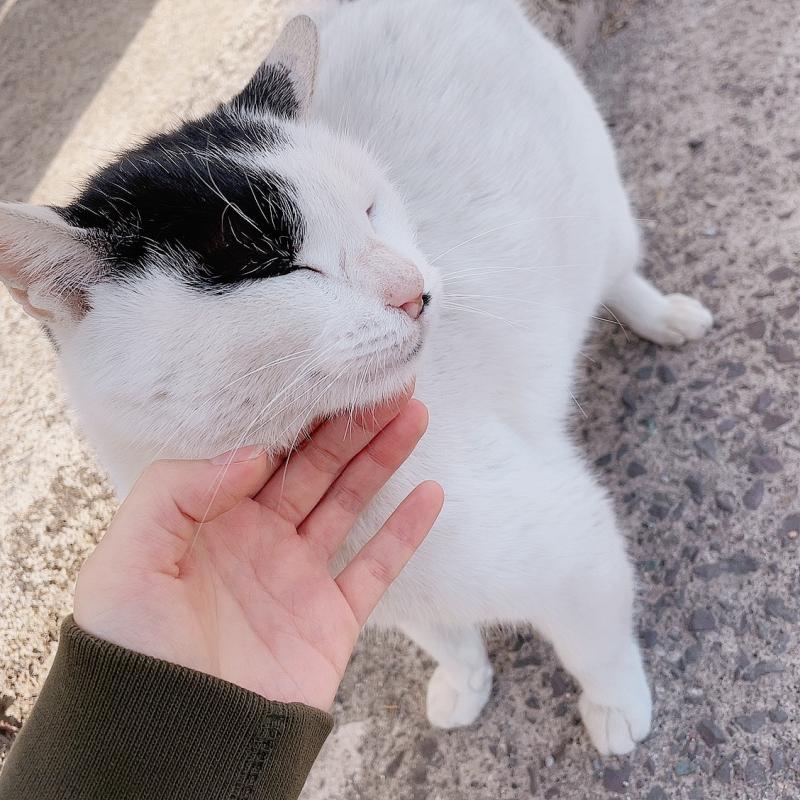 길가다 만난 고영 ㅎㅎ