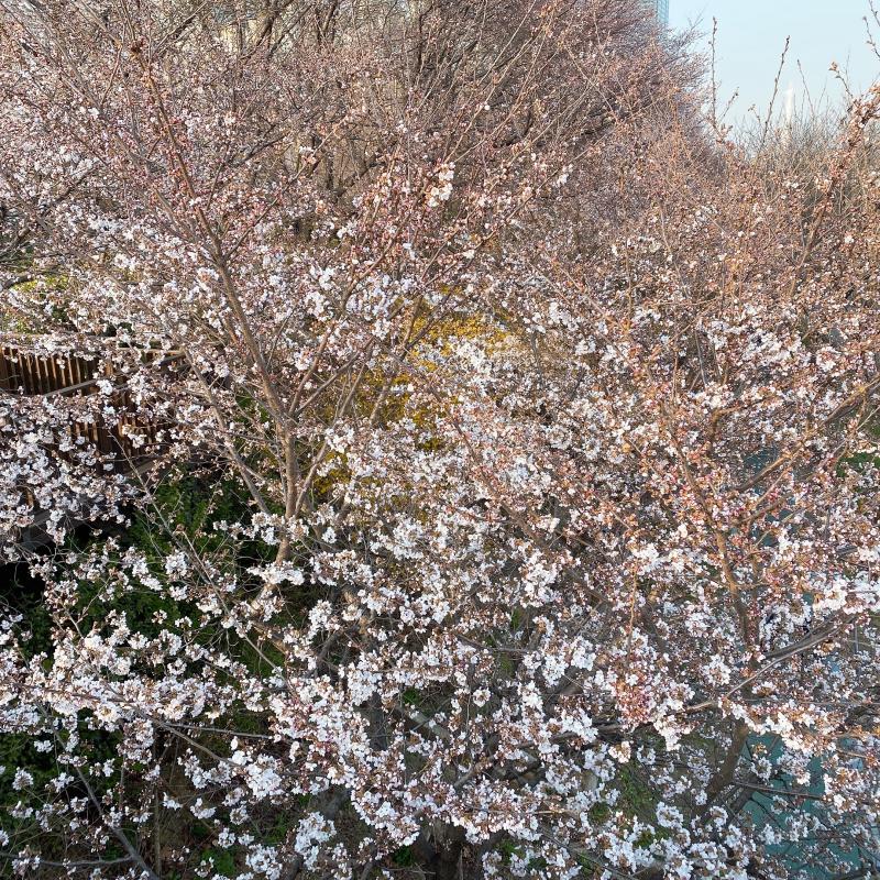 사진 여기