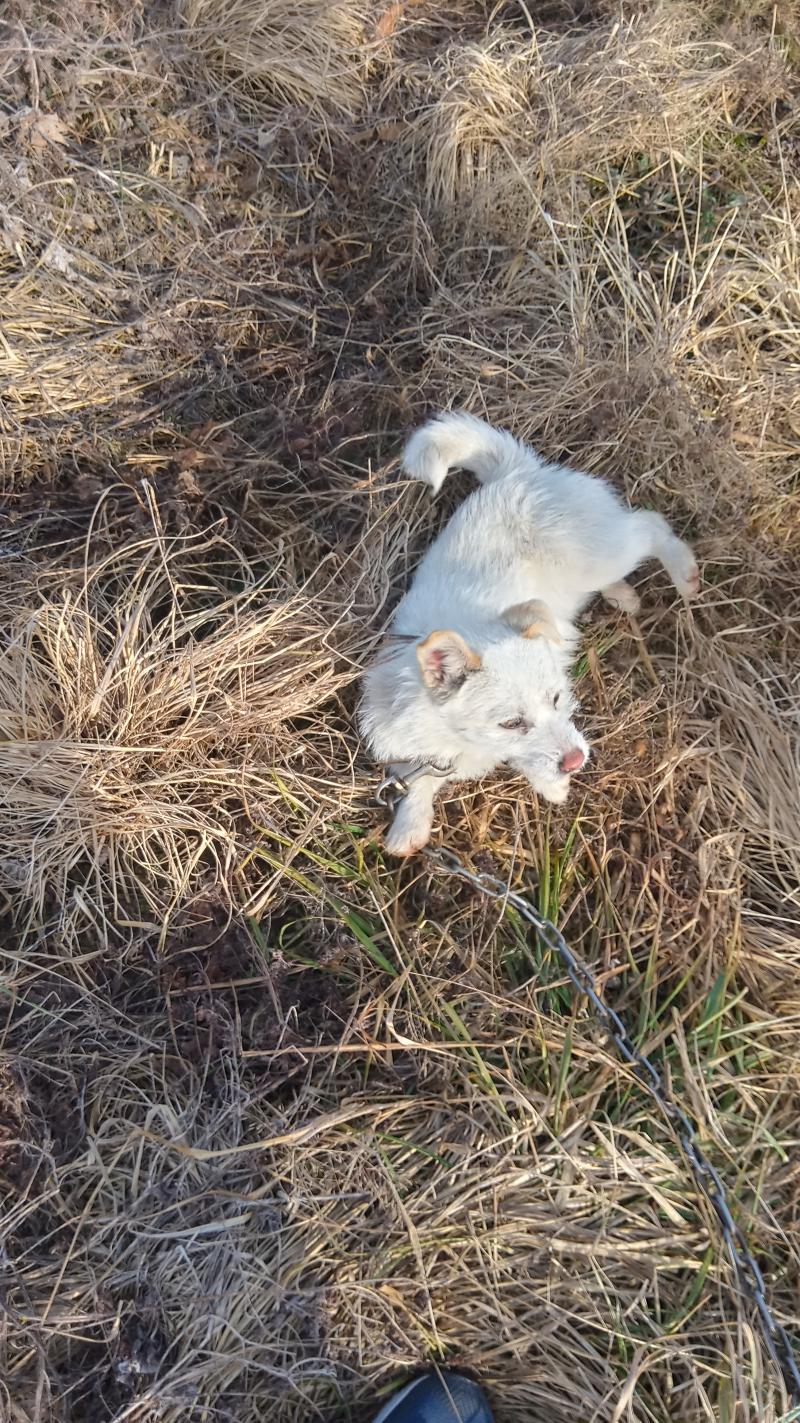 ์ธ๊ตญ ๊ฐใ
? ์๋ ์๊ธฐ ํ๊ตญ