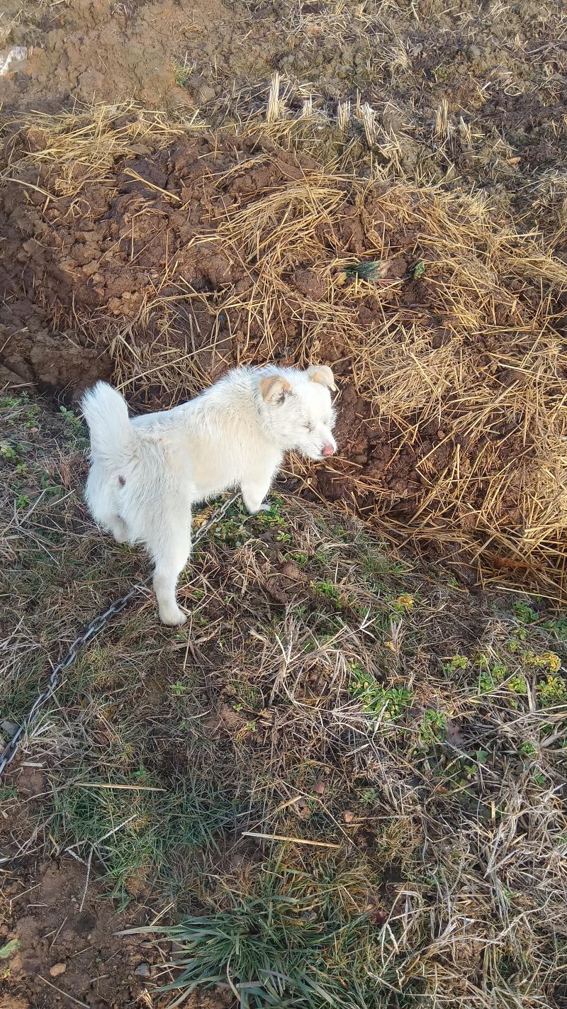 ๋ง์ ๋๋ฌ์ ๋๋ ๊ทธ๋ ์ง?