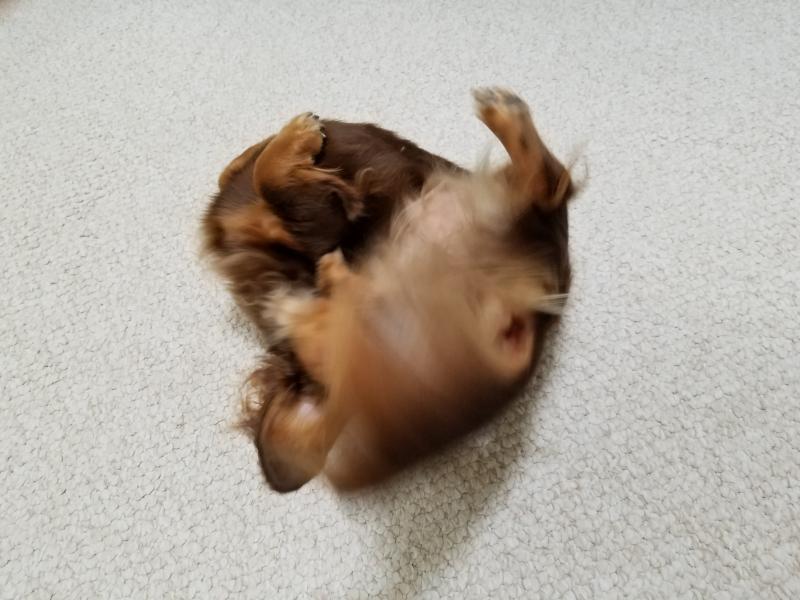 동물 맞아...ㅋㅋㅋㅋㅋㅋ