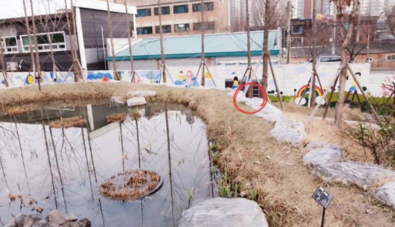 오늘 그 장소에 갔다왓따. 수확: 없음 ....... 그래두 앞으로 틈틈이 가보려구!! 물론 많이 따뜻해지면 안가볼 예정이야. 1월달 말에 찍힌