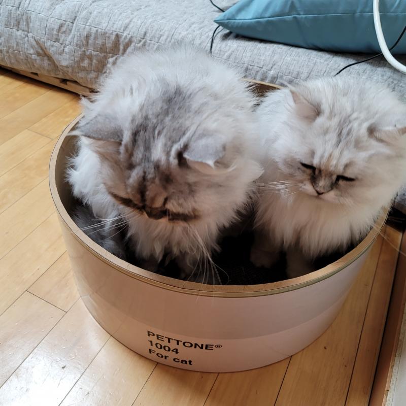 흠..다들 벌써자?