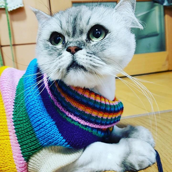 자기전까지 올려볼게
