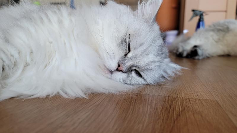 >>37 ㅋ 나죽어ㅋ