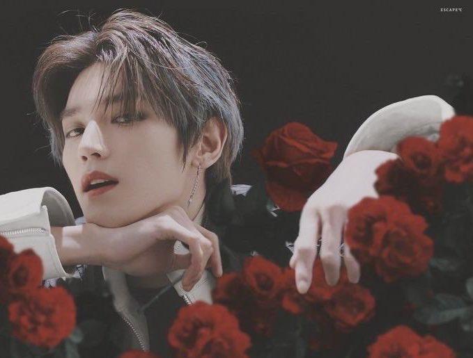 공룡은 팔이 짧아서 태용이 매력에 박수를 쳐주지 못해 멸종 됐다..🌟 태용이는 사슴인가..왜 내 마음을 녹용..?