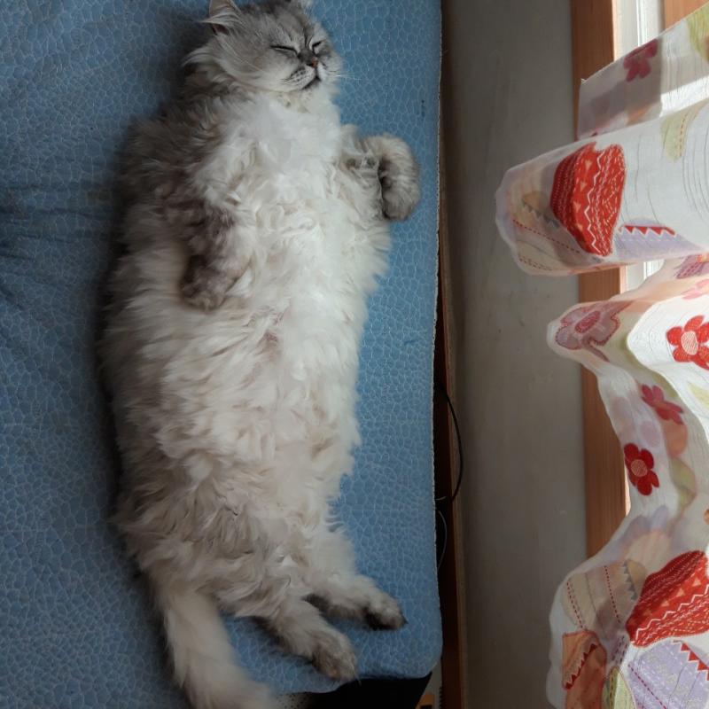 자기전까지 올려볼게