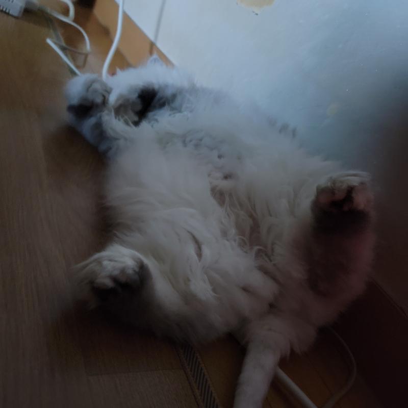 세장씩밖에 안되도 게속한다ㅋ