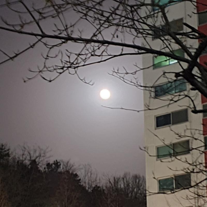 달 사진 두 개✌