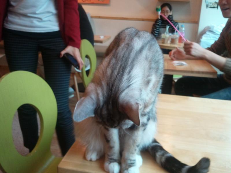 모두 굿나잇!