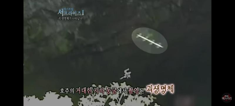 >>1 서프라이즈에 나온 로드라는 괴생명첸데 초속 3~4km로 날아다녀서 사람 눈엔 안 보인데. 크기는 몇cm 정도 된데