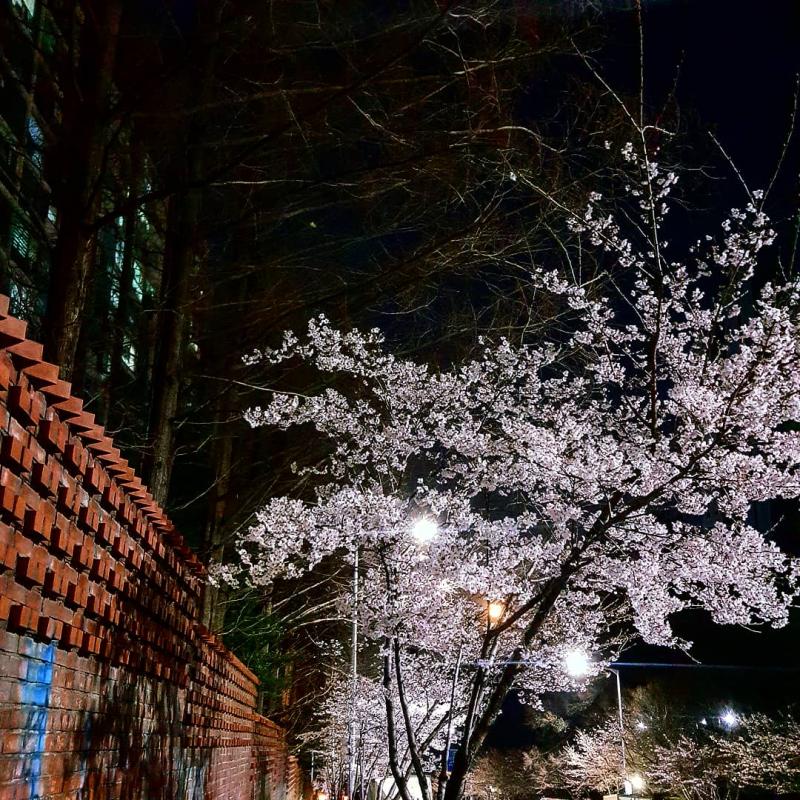 예쁜
