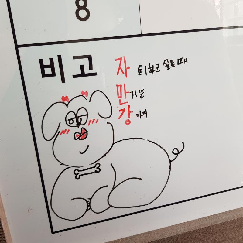 우리반에서 키우고 있는, 자퇴하고 싶을 때 만지는 강아지 자만강.