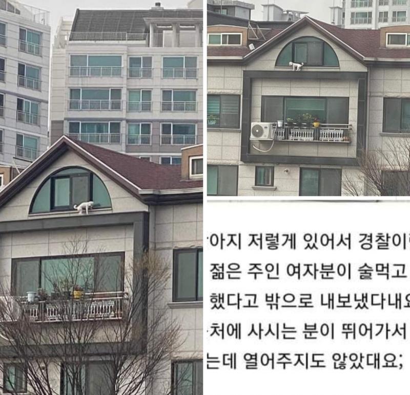 아닐거 같긴한데 보자마자 이 스레 생각남