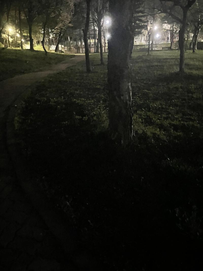 그나마 좀 밝은 곳 사진 찍었다