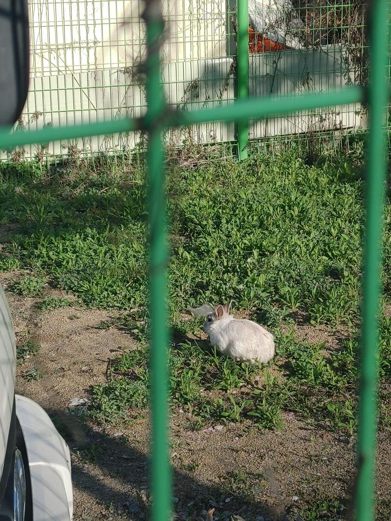 생존보고