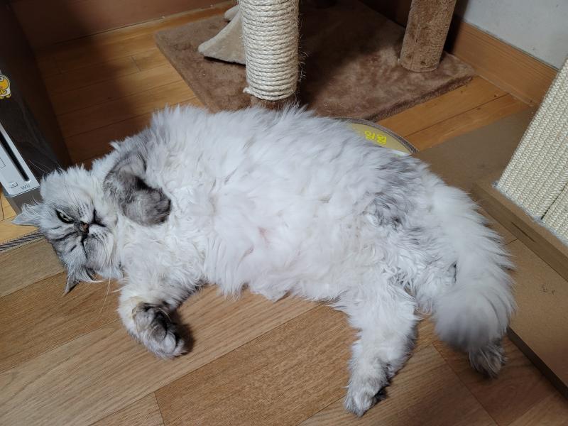 우리애들이야!@@