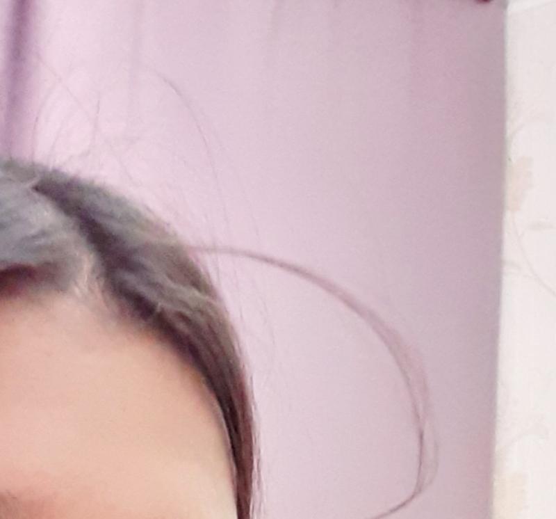 쨘 오늘 더듬이 >>2 매번 저렇게 꼿꼿이 서있는건 아니거(저건 진짜 빳빳하게 서있길래 신기해서 찍었엉) 원래 일케 좀 시무룩해