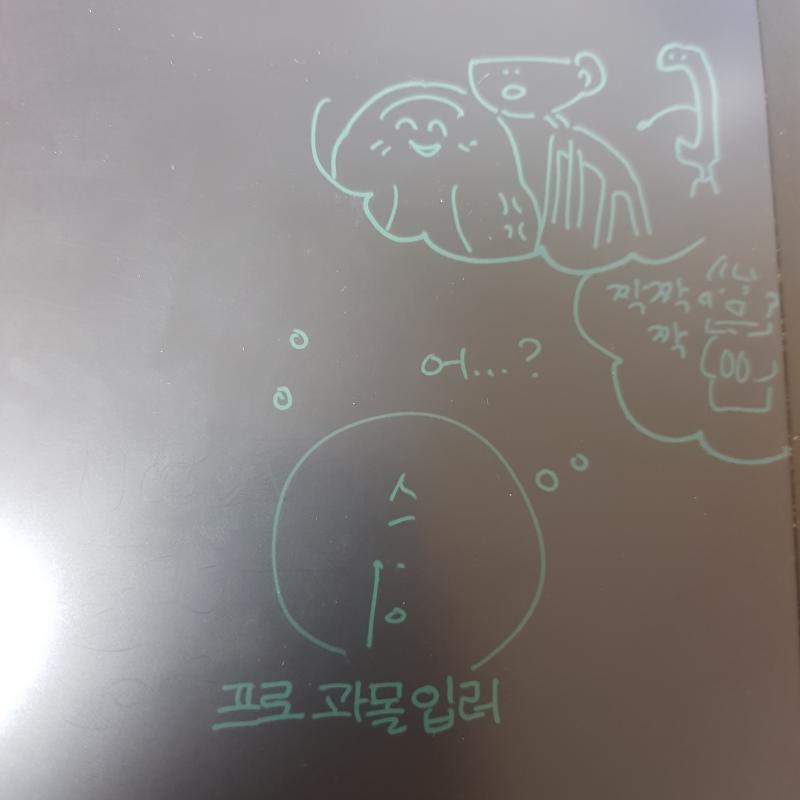 프로과몰입러