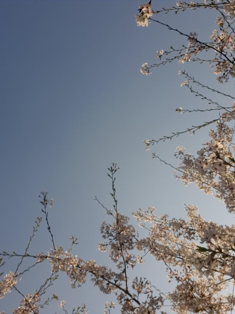 짠 직접 찍은고야!!